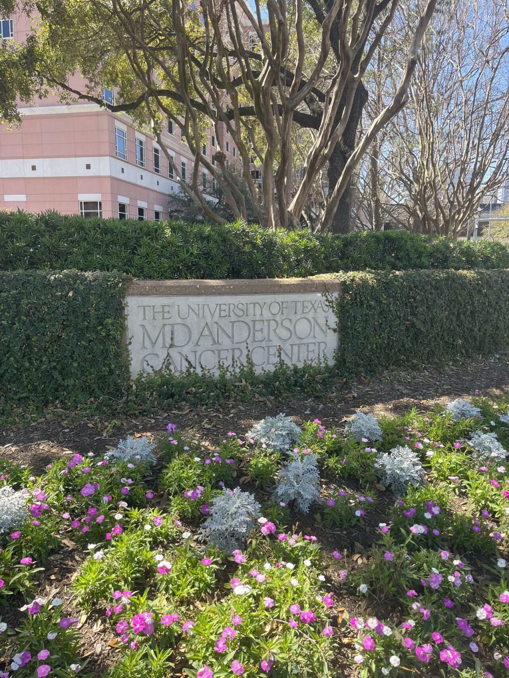 A Week in the OR: Shadowing Breast Surgical Oncology at MD&nbsp;Anderson